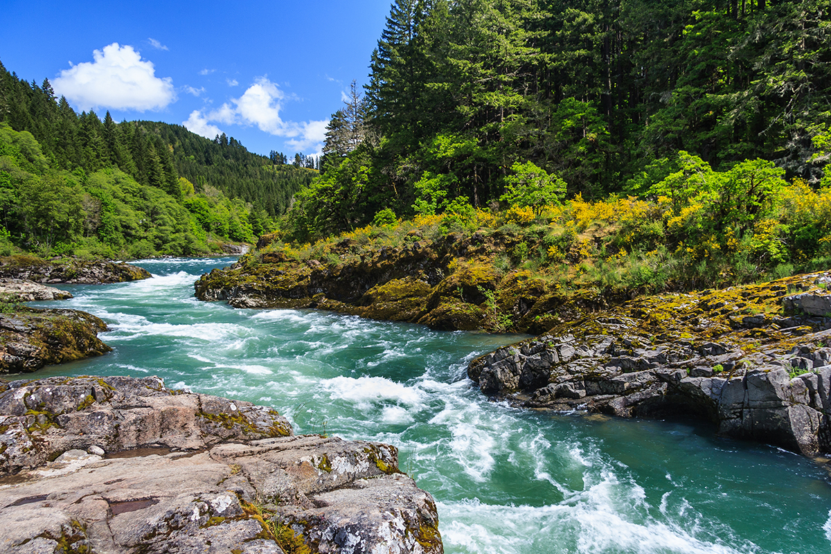 Best Hikes in North Cascades National Park 11