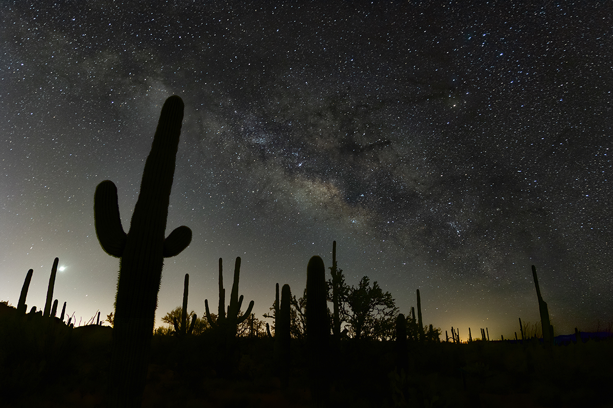 Best Hikes in Saguaro National Park 10
