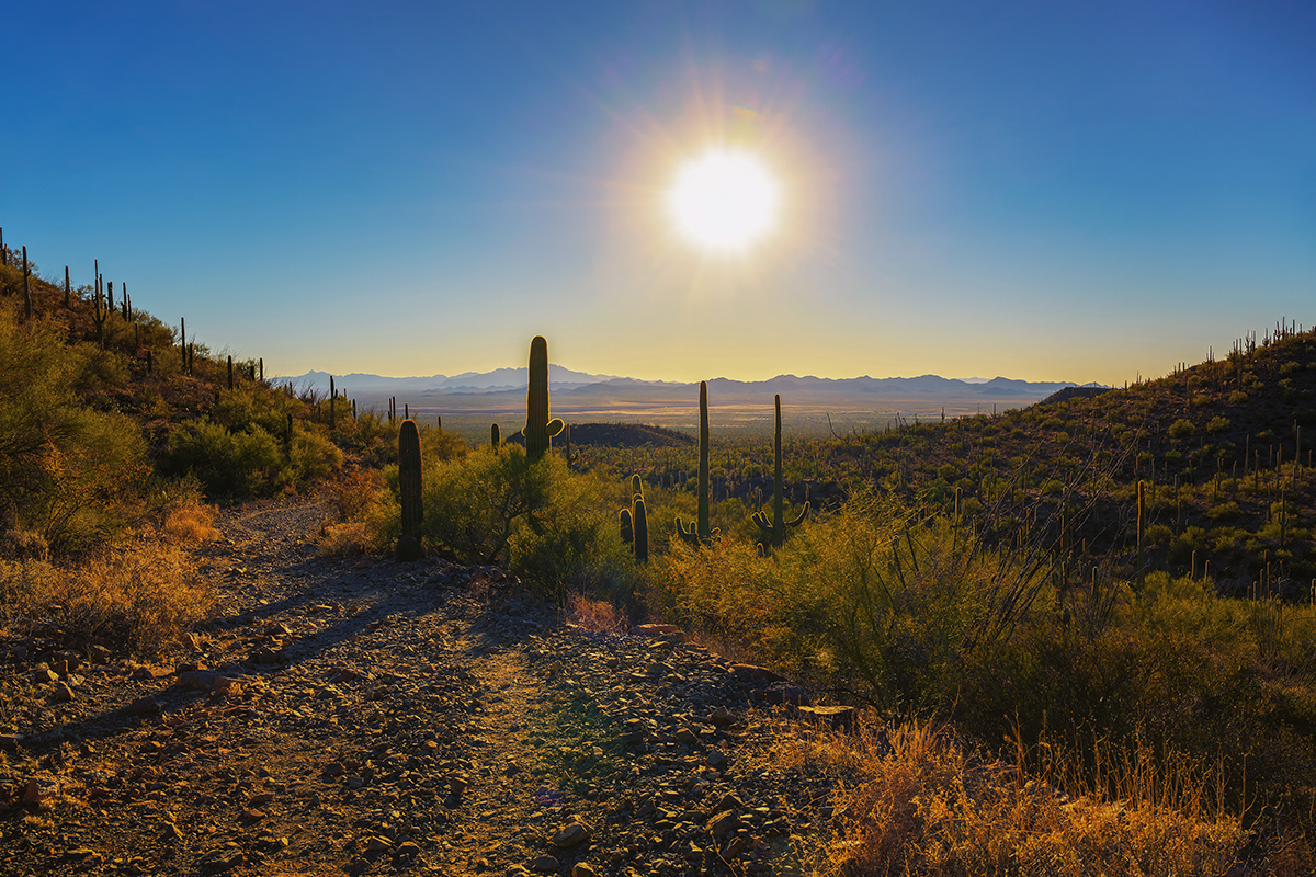 Best Hikes in Saguaro National Park 2