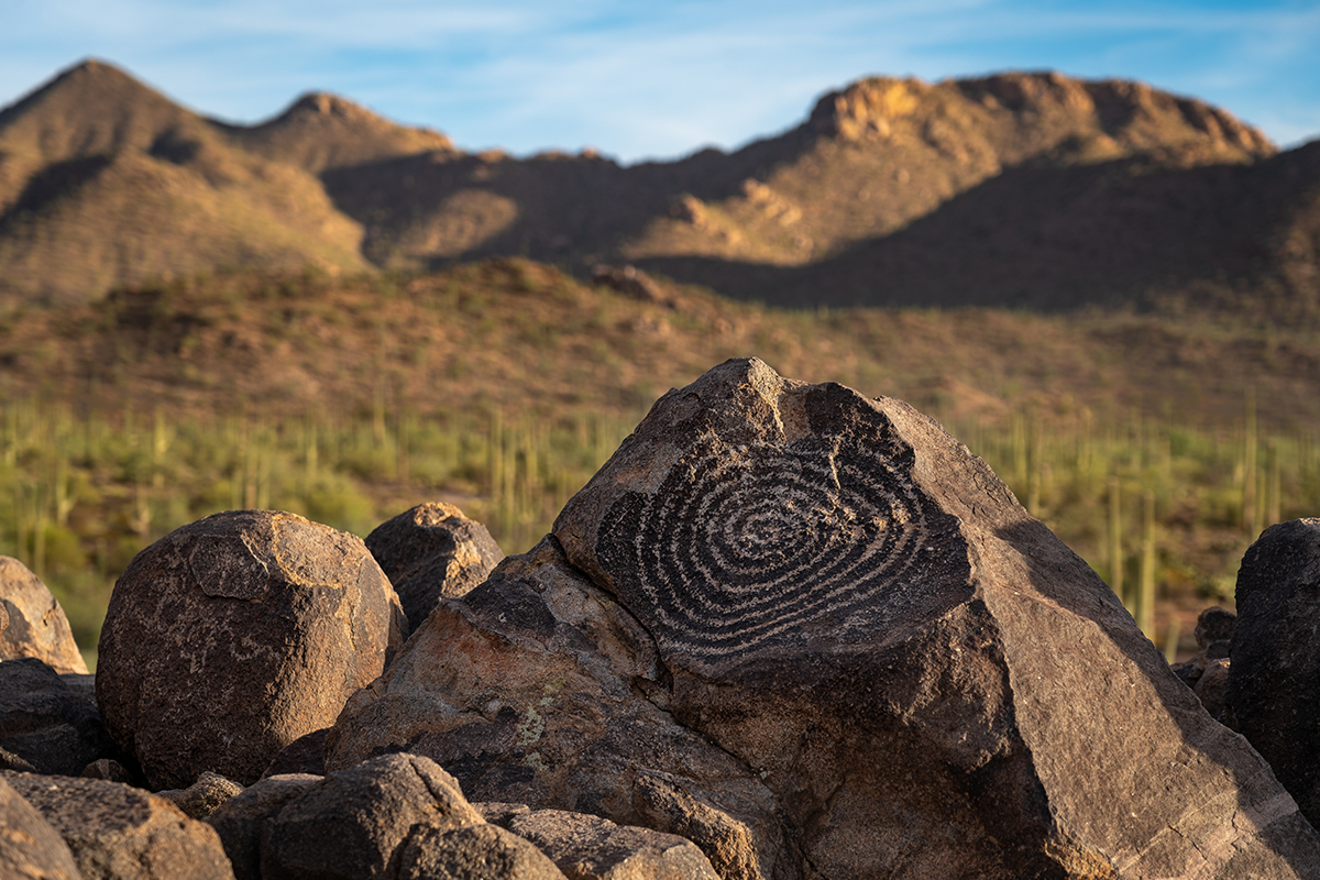 Best Hikes in Saguaro National Park 7