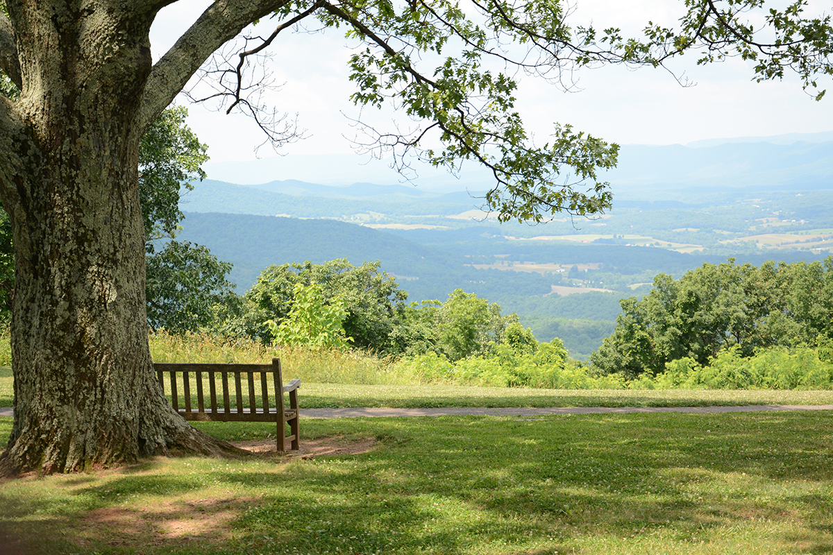 Best Hikes in Shenandoah National Park 10