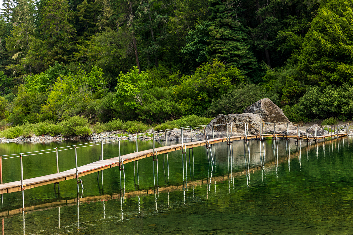 Best Hikes in Redwood National and State Parks 1
