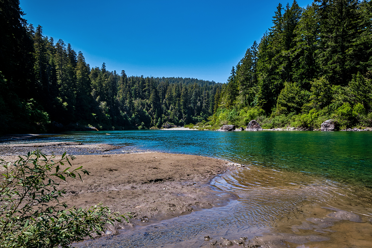 Best Hikes in Redwood National and State Parks 6