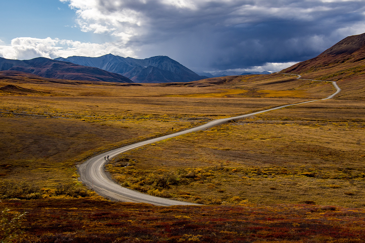 Best Hikes in Denali National Park 5