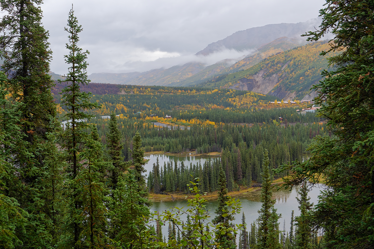 Best Hikes in Denali National Park 8