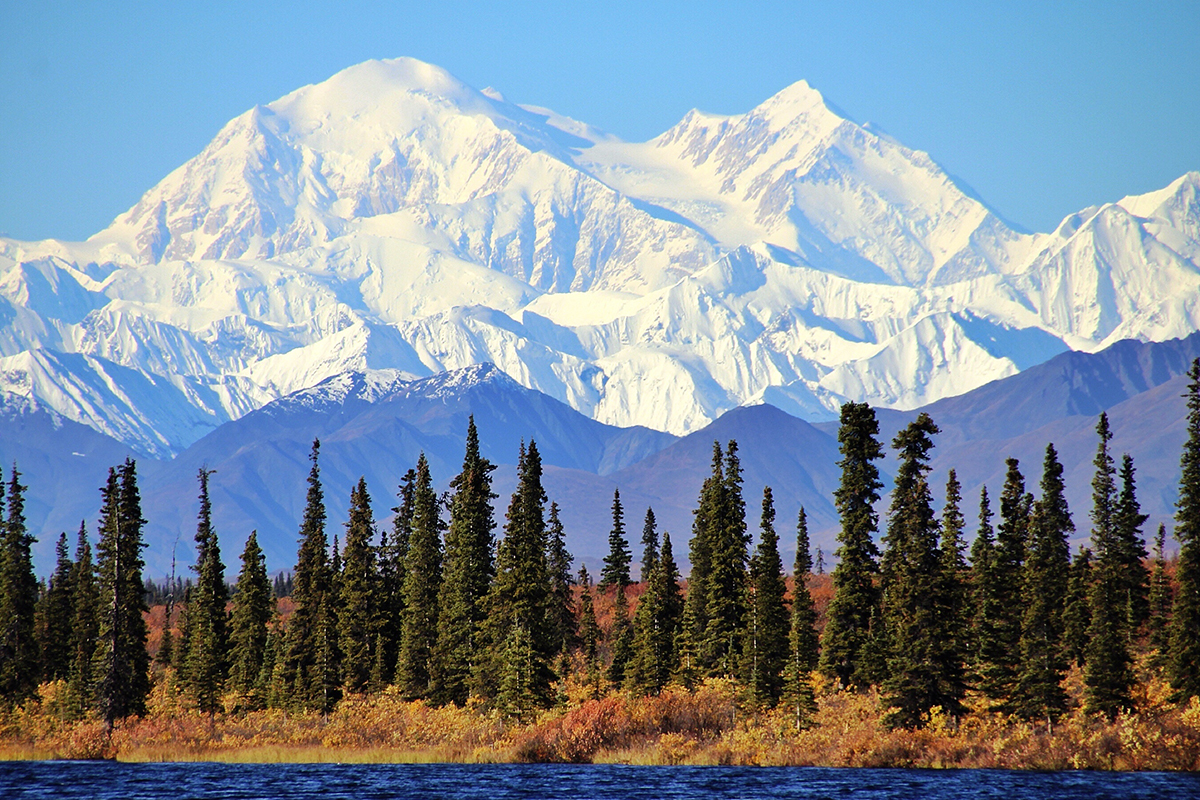 Best Hikes in Denali National Park 10