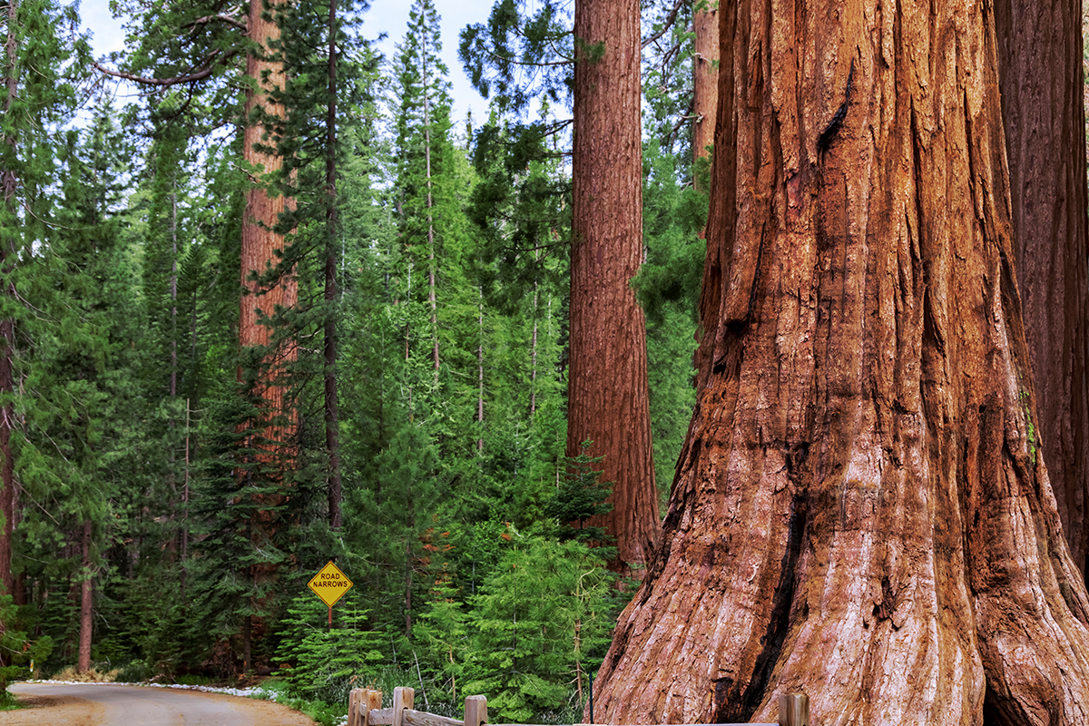 Yosemite National Park Hikes 7