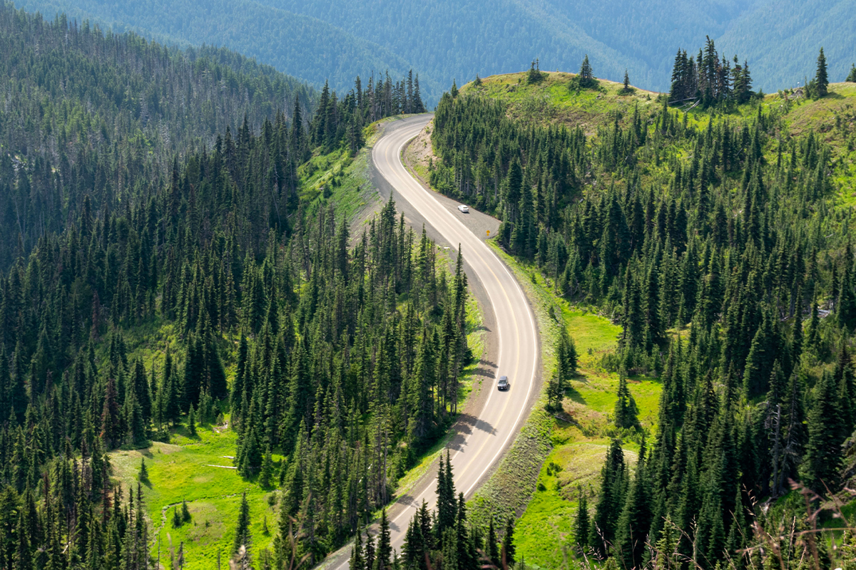 Uncover Incredible Olympic National Park Facts Today 5