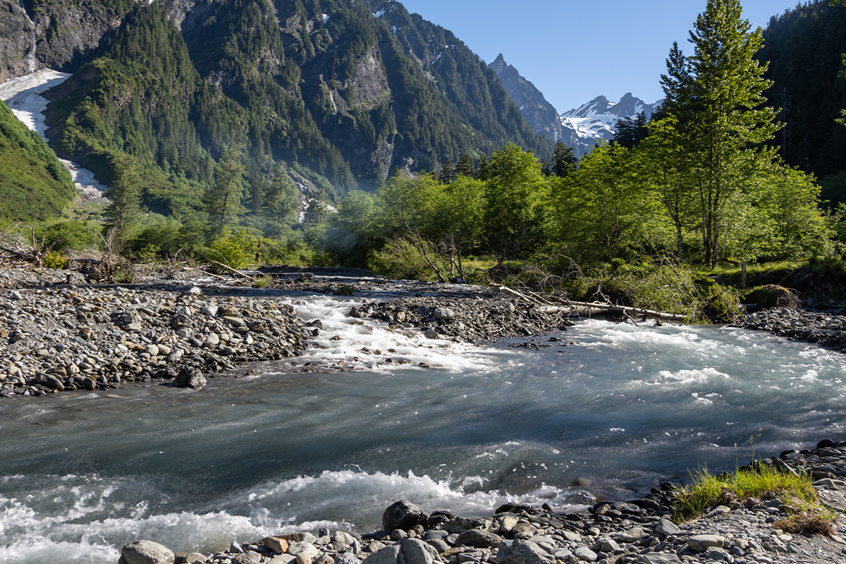 Uncover Incredible Olympic National Park Facts Today 7