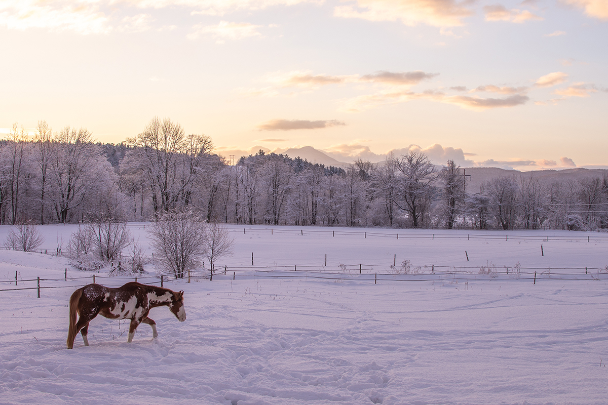 The Best Ski Resorts on the East Coast 5