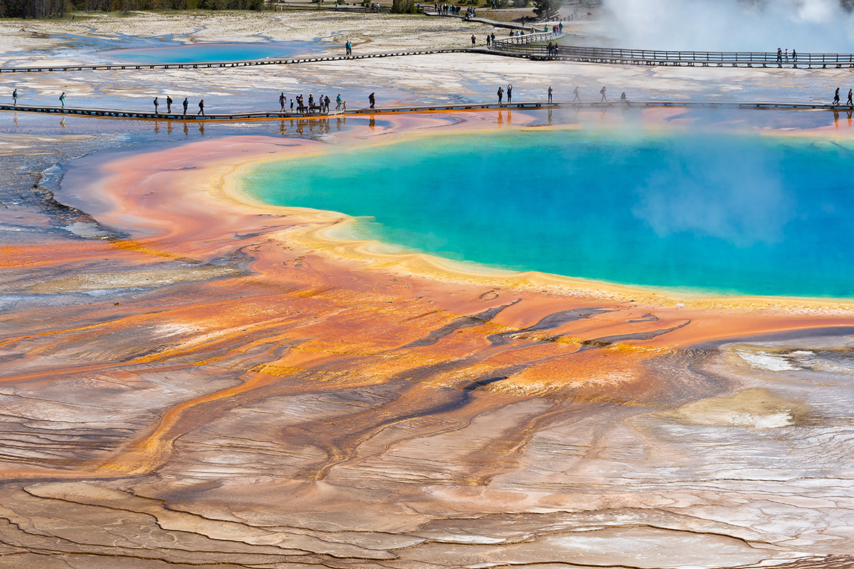 Top Yellowstone National Park Facts You Should Know 1