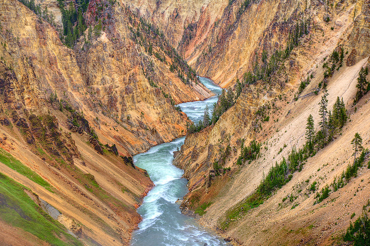 Top Yellowstone National Park Facts You Should Know 3