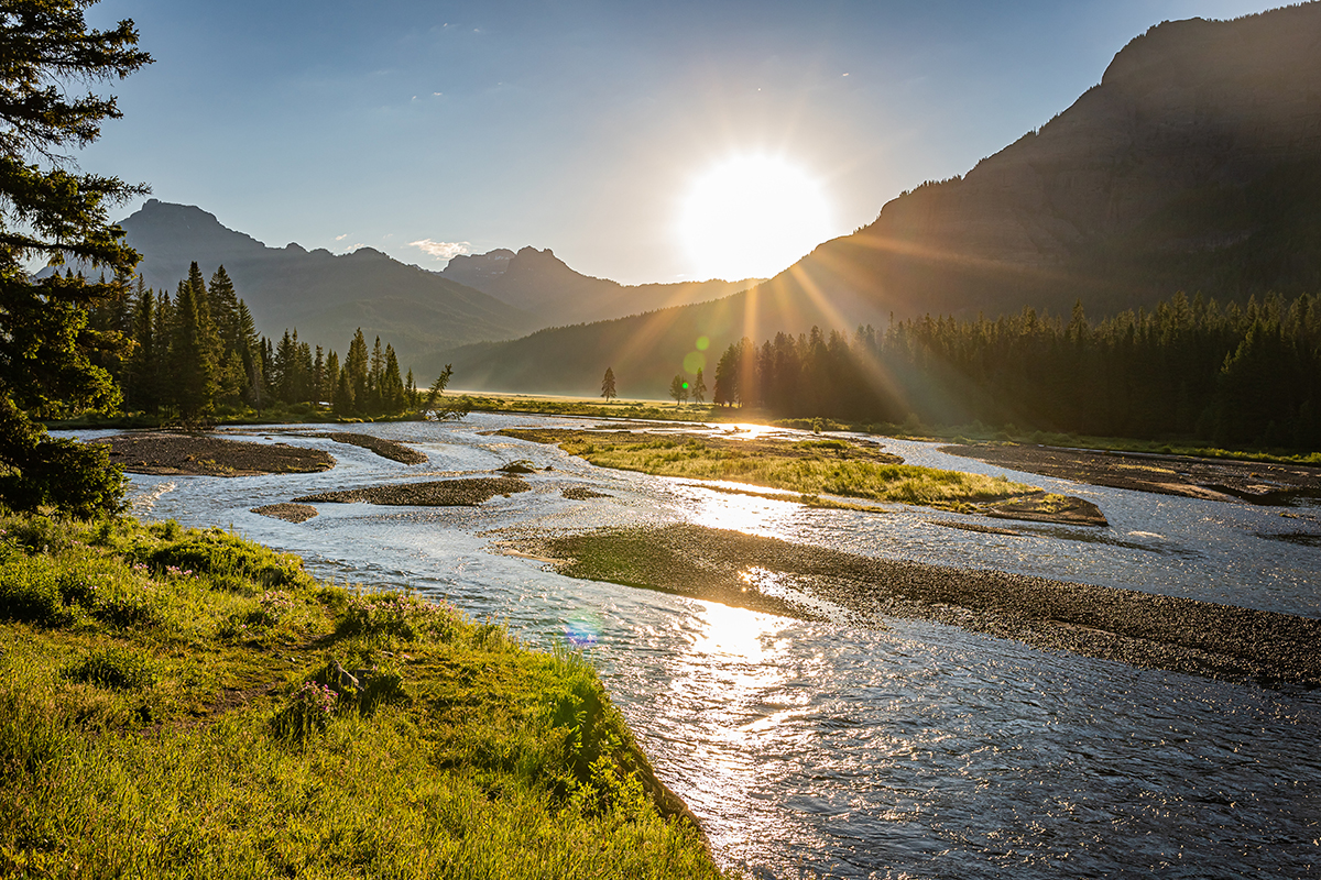 Top Yellowstone National Park Facts You Should Know 6
