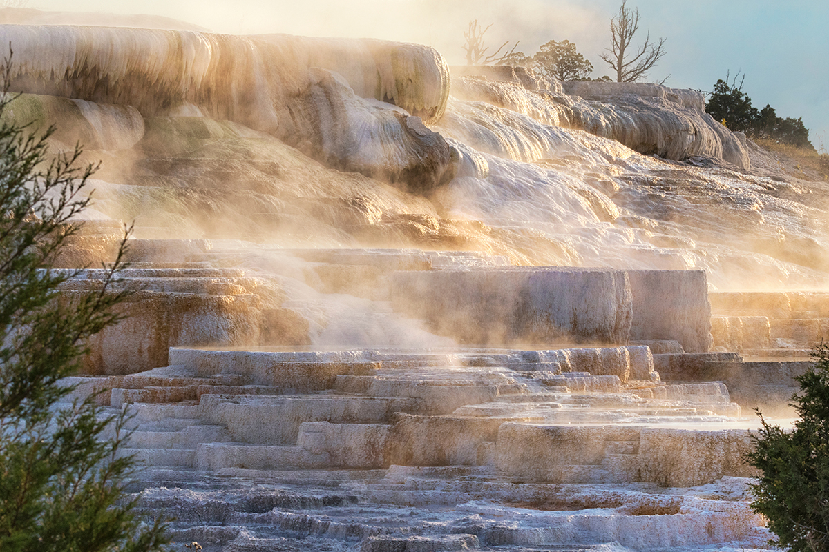 Top Yellowstone National Park Facts You Should Know 8