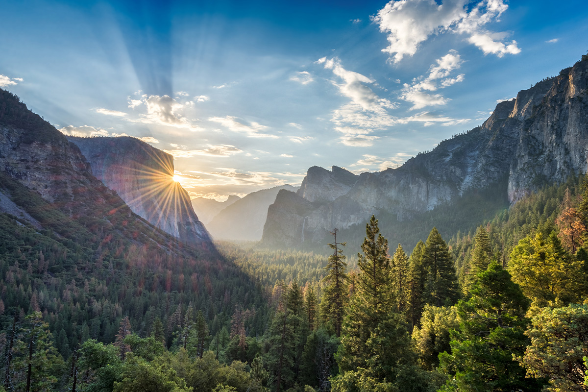 Interesting Yosemite National Park Facts for Travelers 1