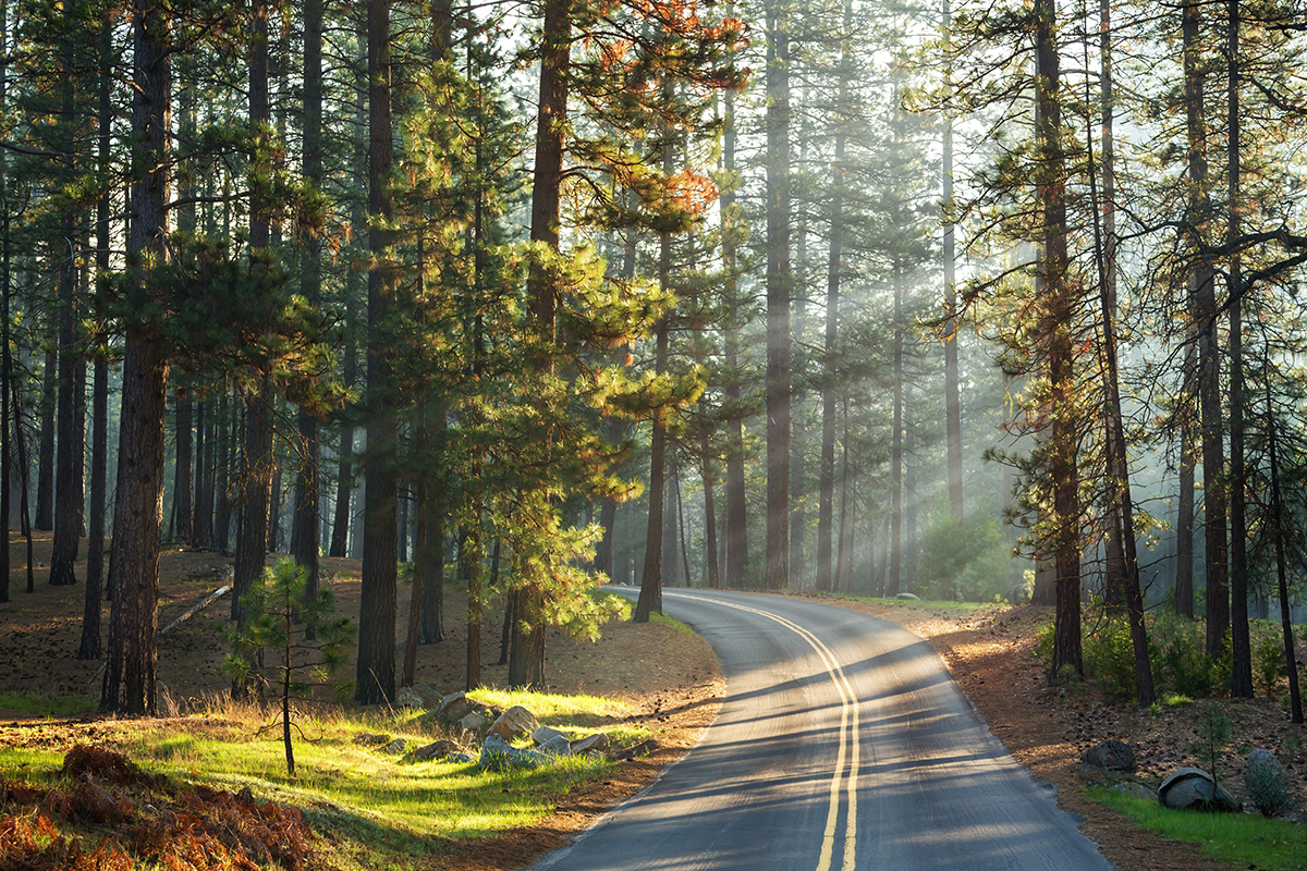 Interesting Yosemite National Park Facts for Travelers 2