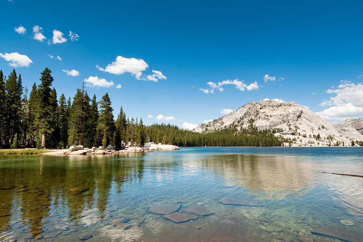 Interesting Yosemite National Park Facts for Travelers 6