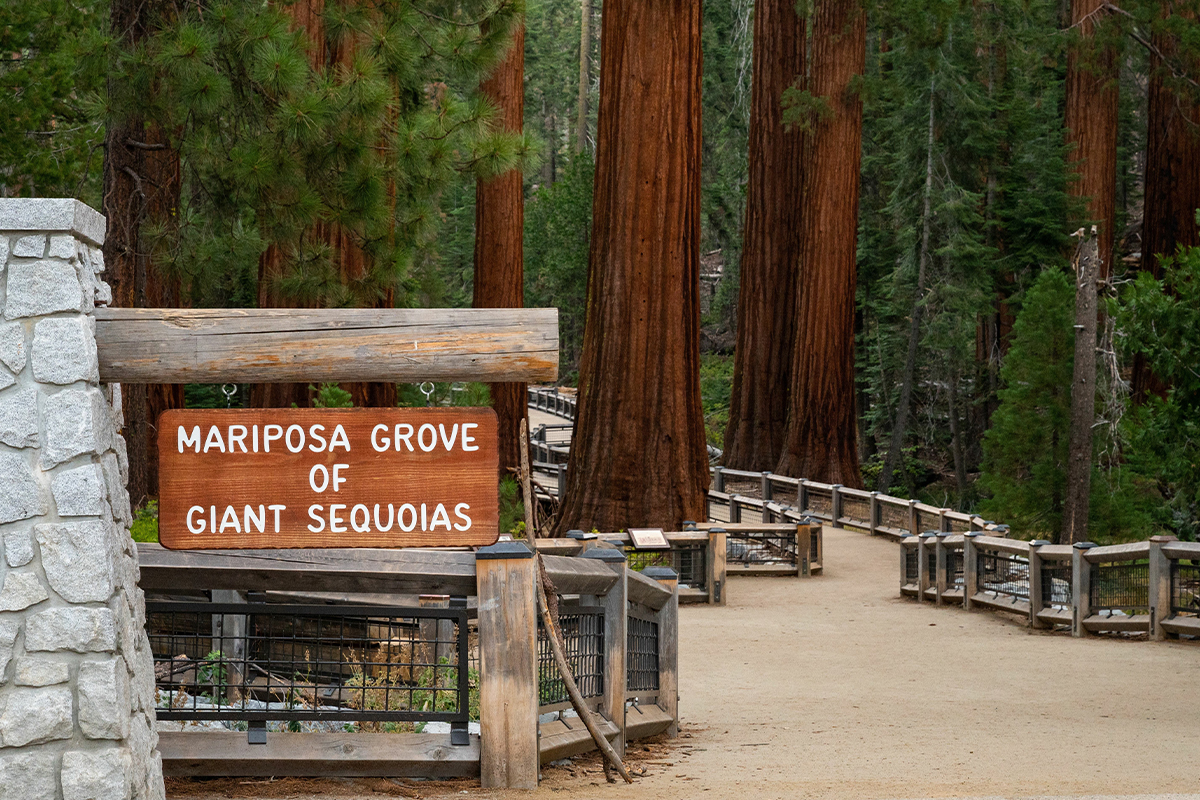 Interesting Yosemite National Park Facts for Travelers 7