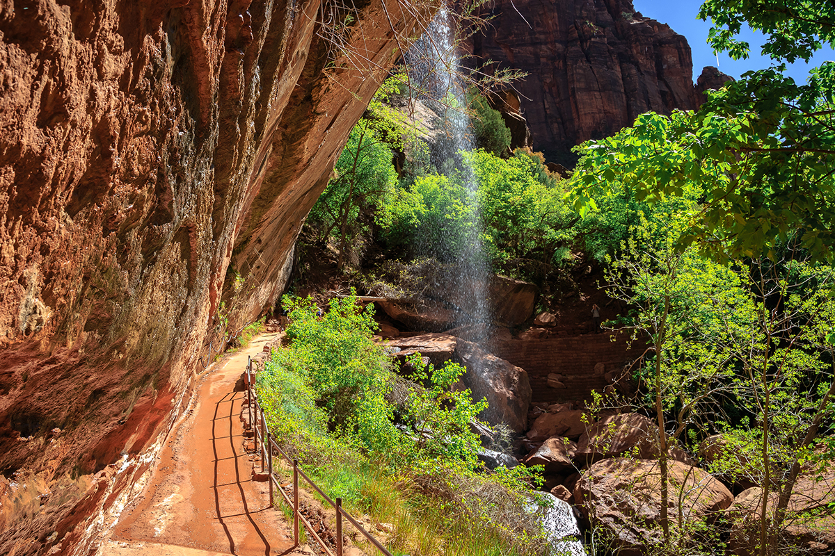 Fascinating Zion National Park Facts for Every Adventurer 10