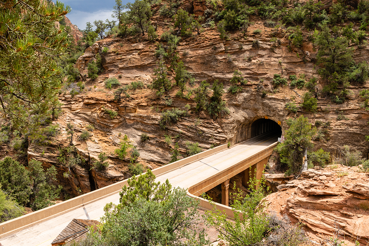 Fascinating Zion National Park Facts for Every Adventurer 5