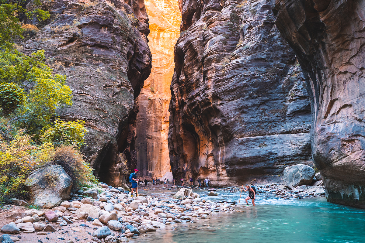 Fascinating Zion National Park Facts for Every Adventurer 6