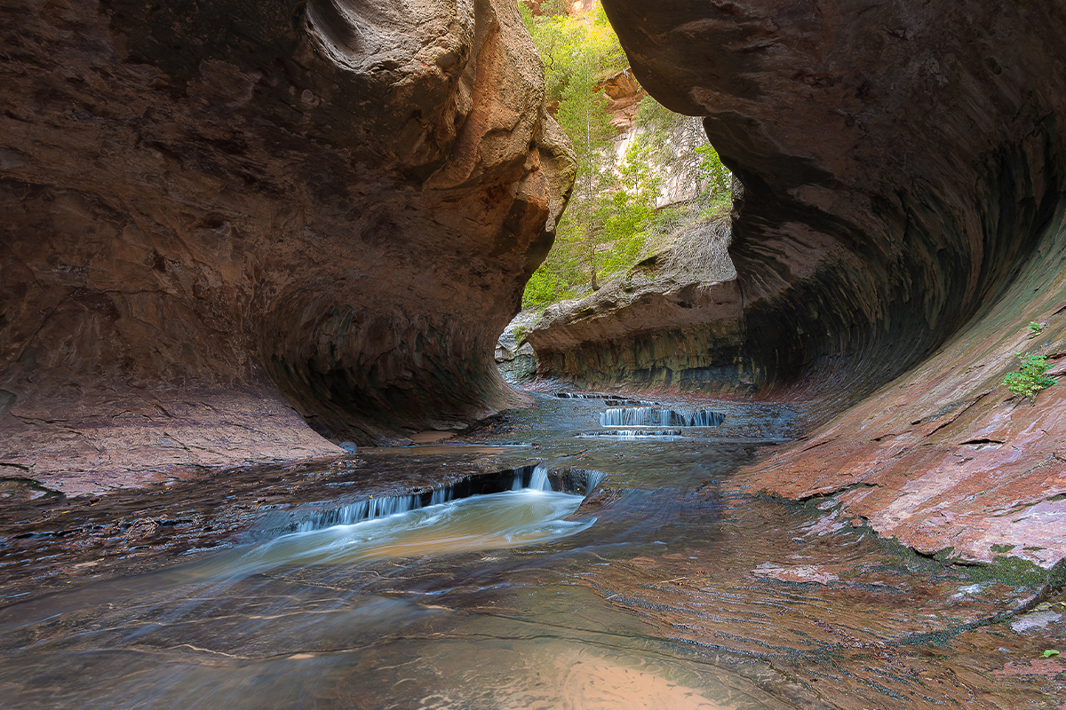 Fascinating Zion National Park Facts for Every Adventurer 8