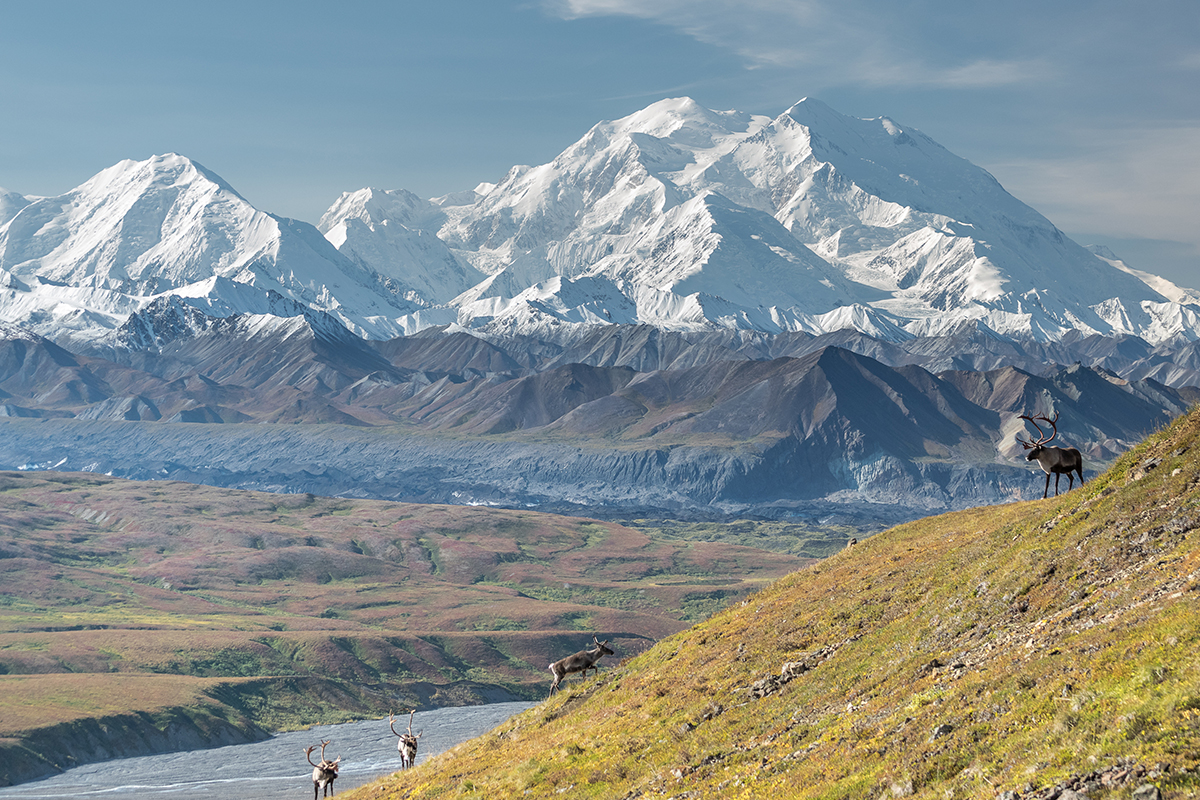 Top Denali National Park Facts for Nature Enthusiasts 16