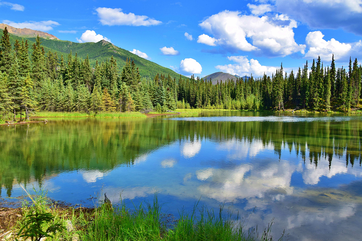 Top Denali National Park Facts for Nature Enthusiasts 14