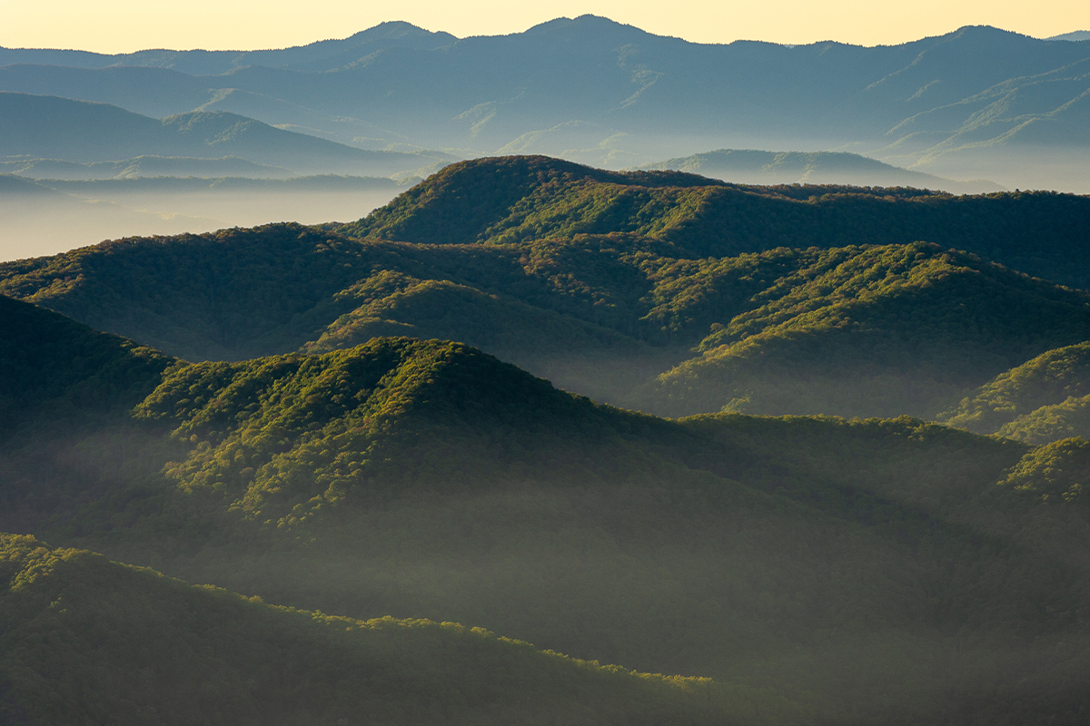 Fascinating Great Smoky Mountains National Park Facts 18