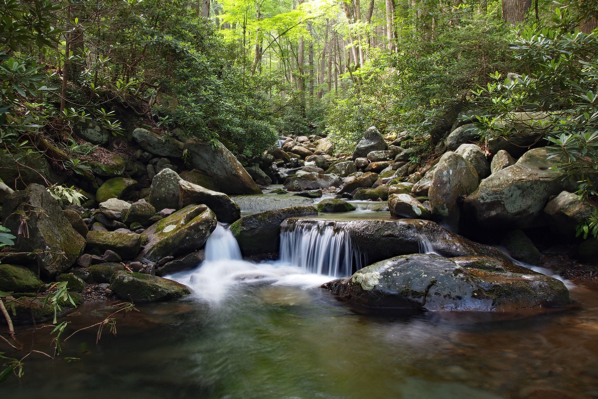 Fascinating Great Smoky Mountains National Park Facts 16