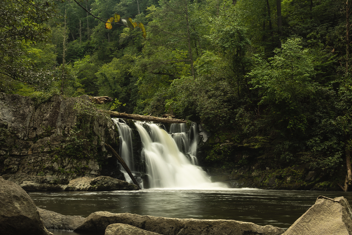 Fascinating Great Smoky Mountains National Park Facts 19