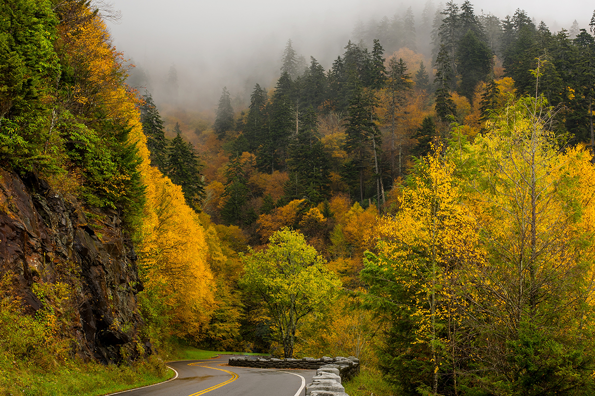 Fascinating Great Smoky Mountains National Park Facts 21