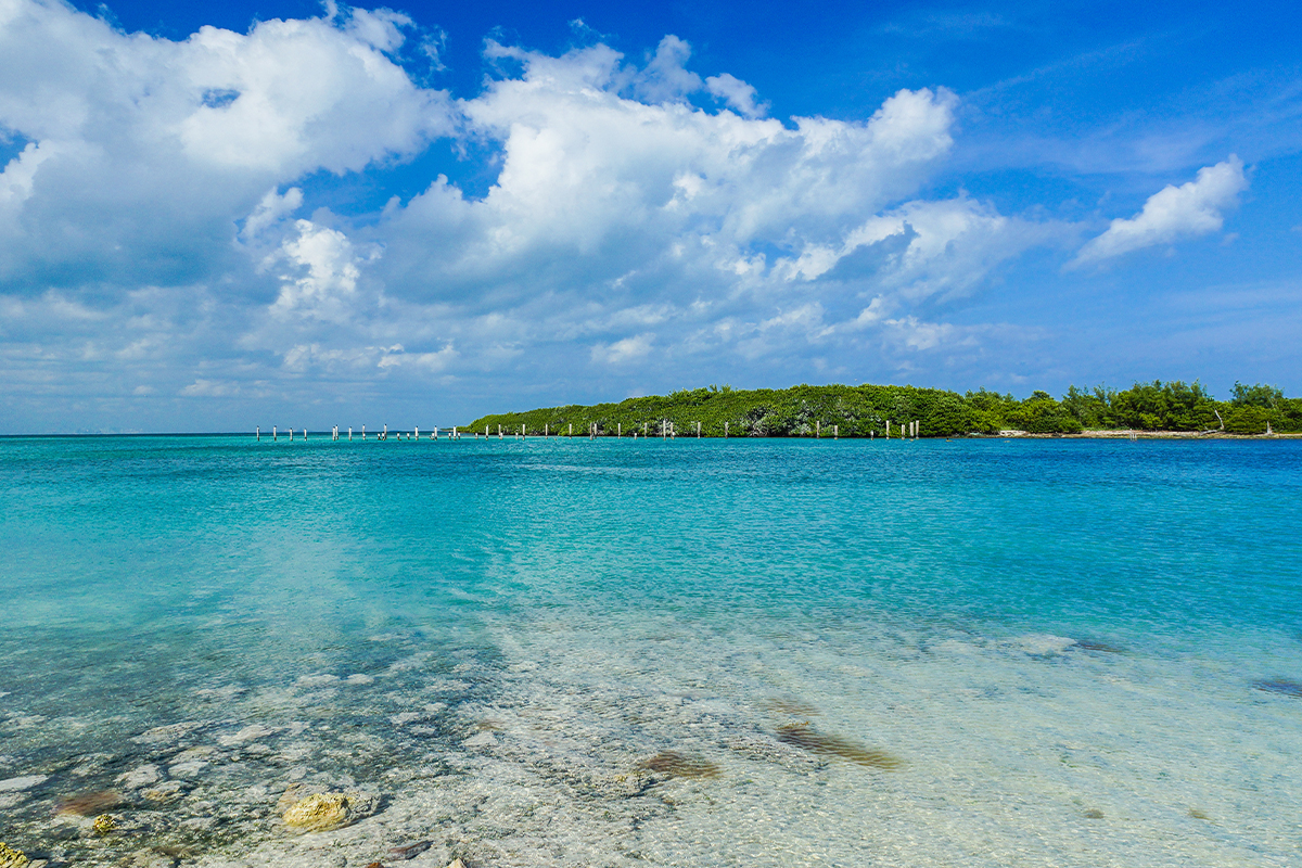 Biscayne National Park Facts and History Explained 10