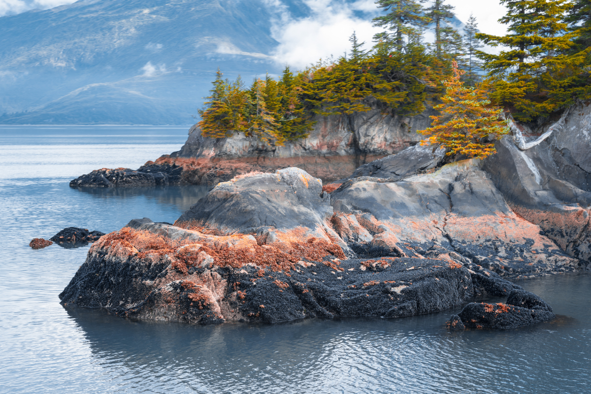 Discover Amazing Kenai Fjords National Park Facts 8
