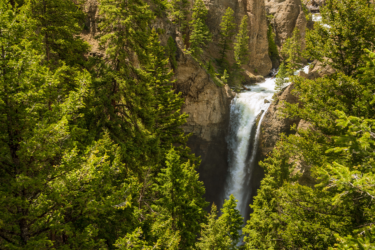 Discover the Best Time to Visit Yellowstone National Park 10
