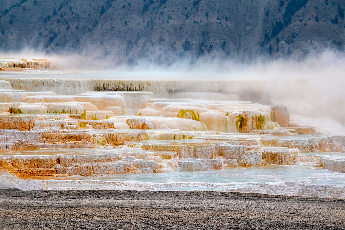 Discover the Best Time to Visit Yellowstone National Park 9