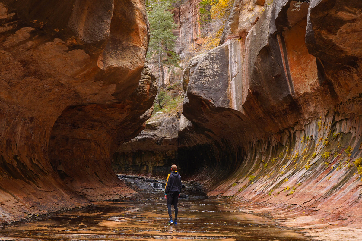 Your Guide to the Best Time to Visit Zion National Park 2