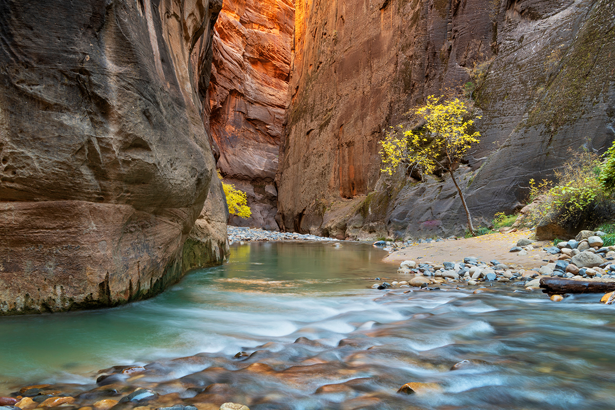 Your Guide to the Best Time to Visit Zion National Park 1