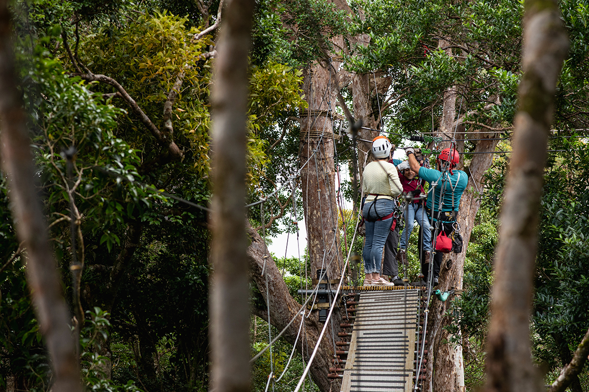 Best Ziplining in the US: 10 Can&rsquo;t-Miss Zipline Tours 8