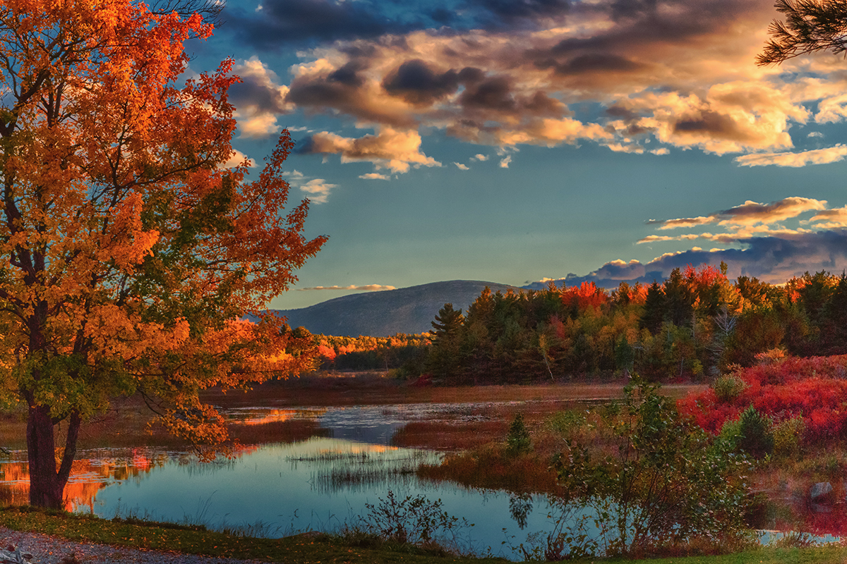 Discover the Best Time to Visit Acadia National Park 3