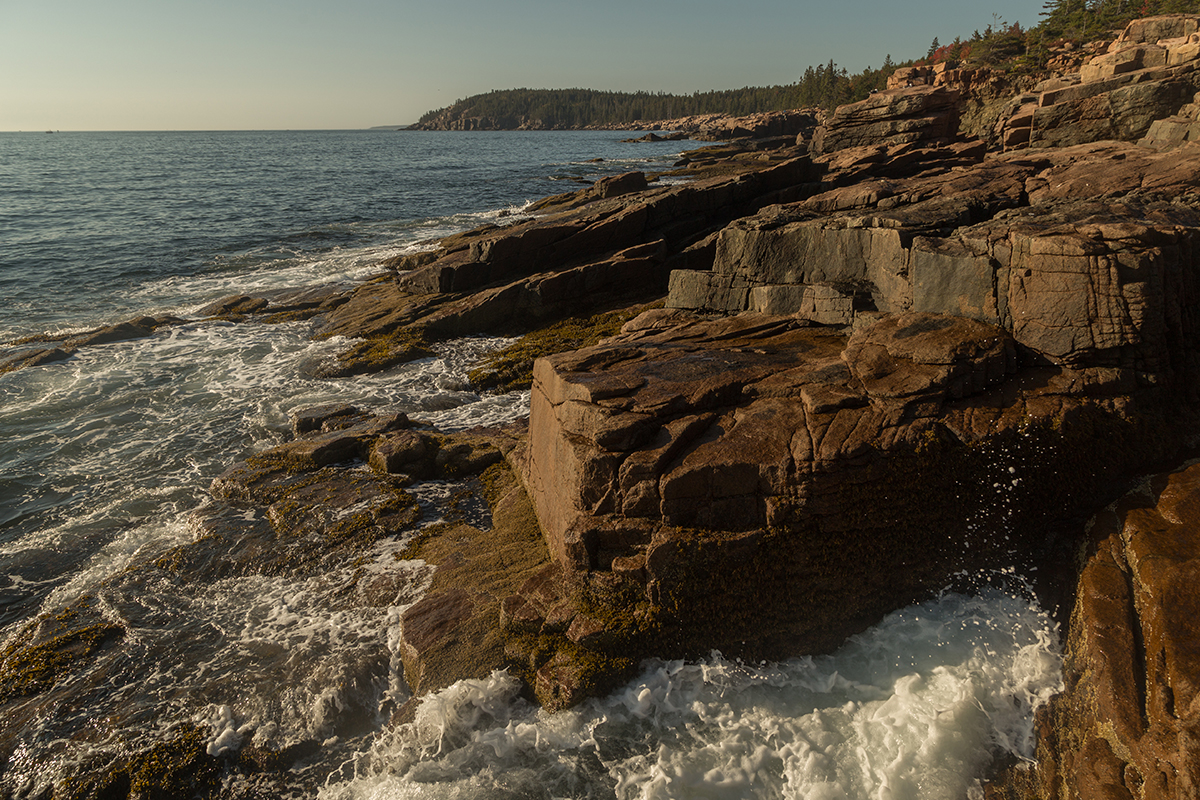 Discover the Best Time to Visit Acadia National Park 6
