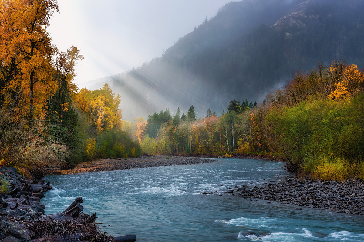 Plan the Best Time to Visit Olympic National Park and Explore 4