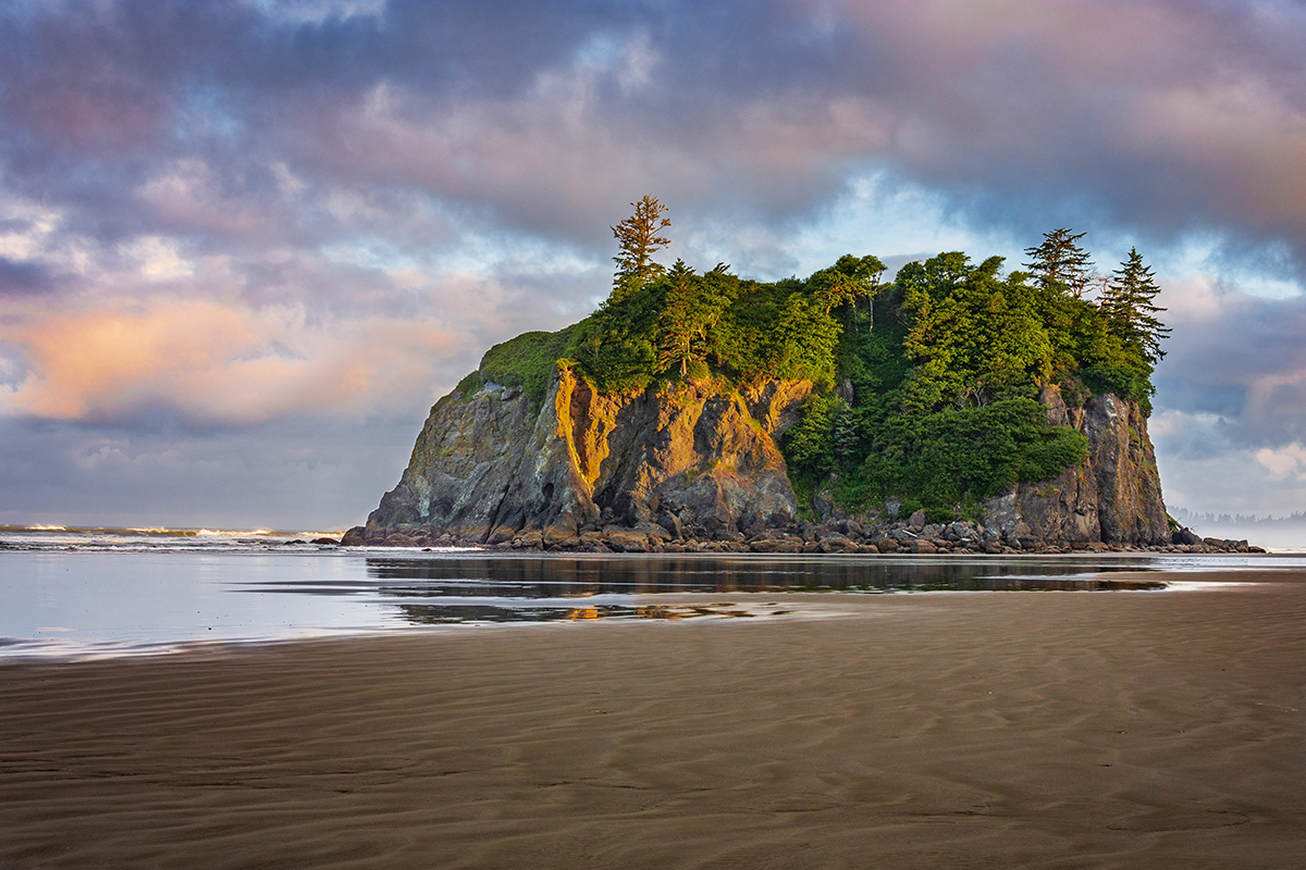 Plan the Best Time to Visit Olympic National Park and Explore 5
