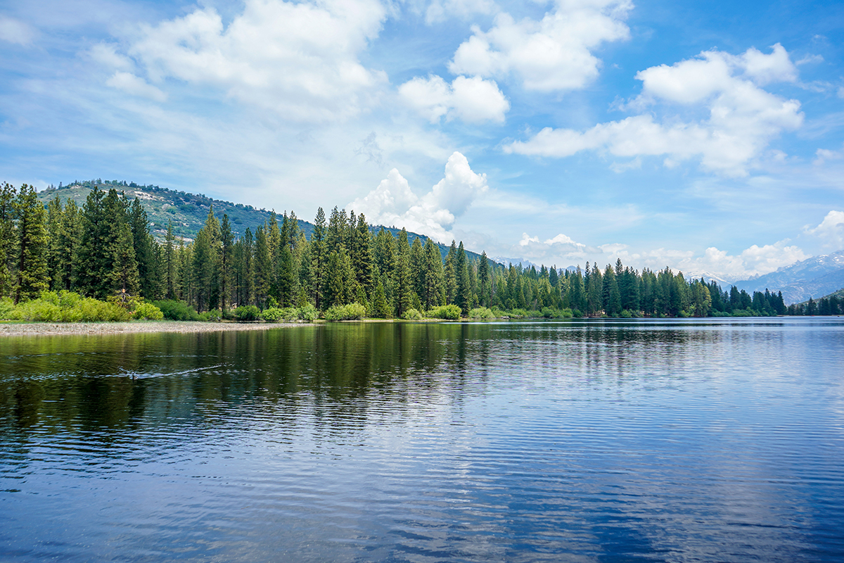 Explore the Best Time to Visit Sequoia National Park 11