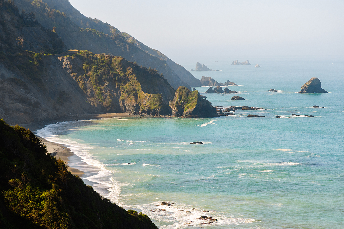 Your Guide to the Best Time to Visit Redwood National Park 2