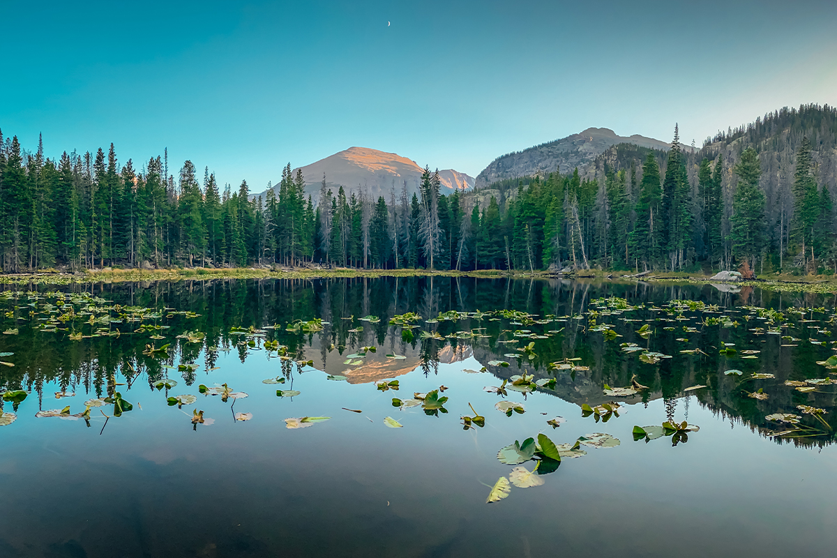 Planning the Best Time to Visit Rocky Mountain National Park 6
