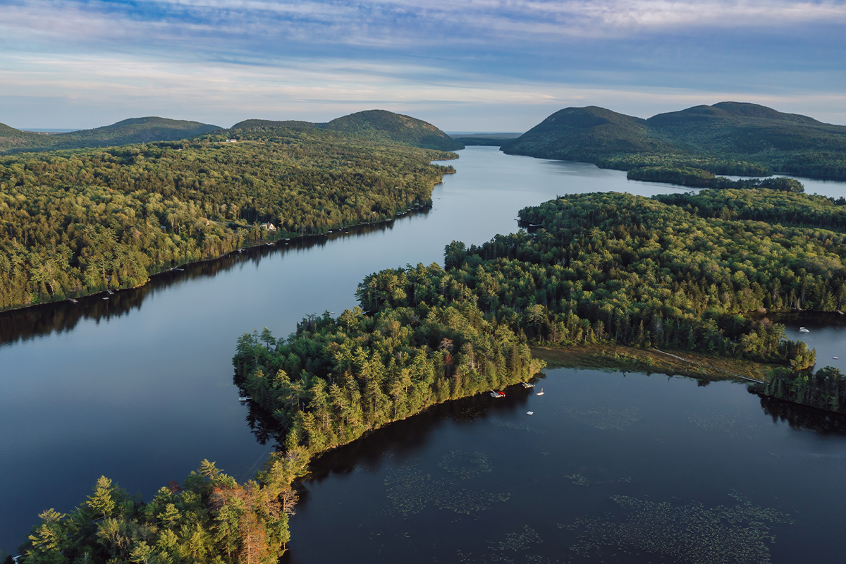 Exploring Acadia National Park Animals & Habitats 16