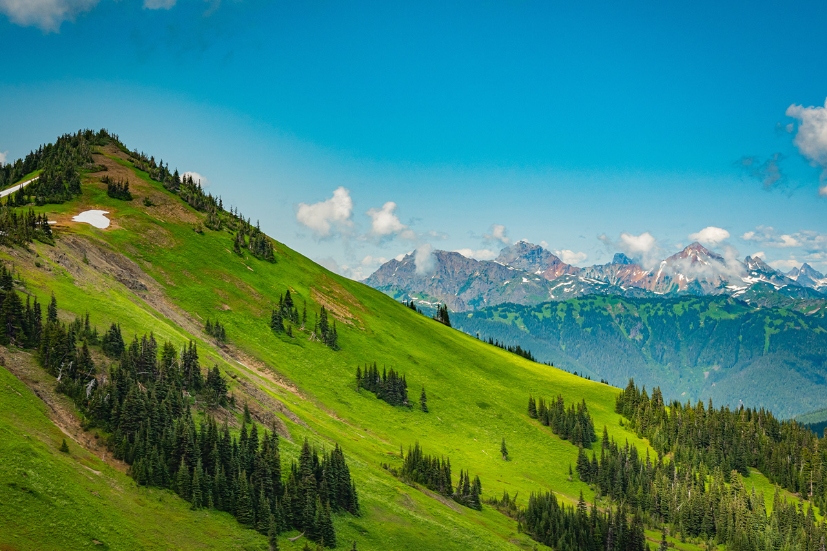 The Best Hikes & Top Trails in Mount Rainier National Park 2