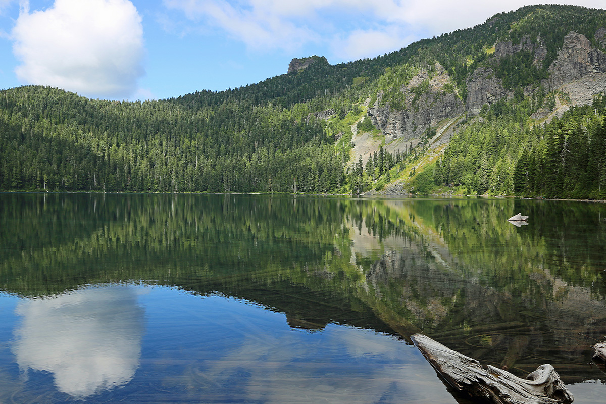 The Best Hikes & Top Trails in Mount Rainier National Park 4