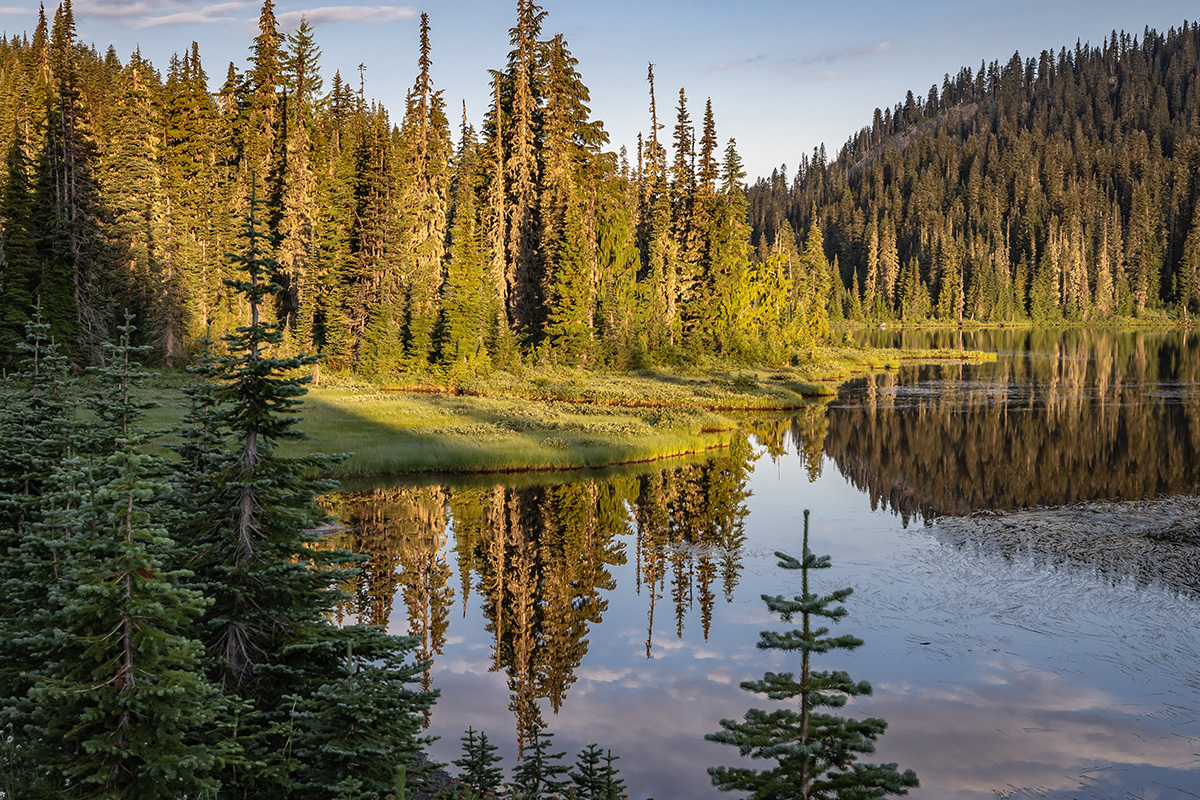 The Best Hikes & Top Trails in Mount Rainier National Park 5